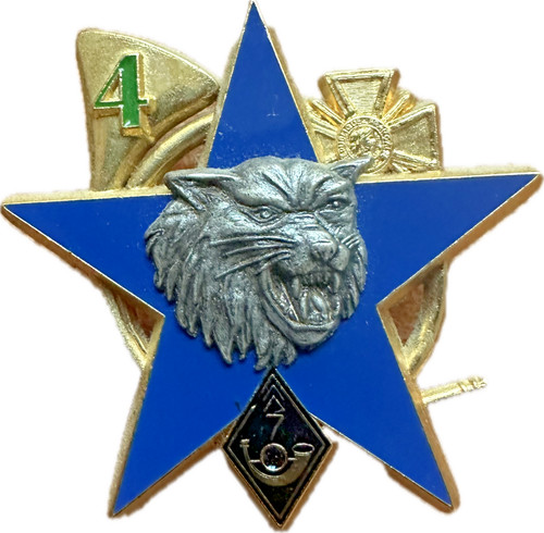Bataillon de chasseurs - bataillon,