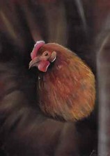 poule pondeuse, dessin original A4 pastel moderne 