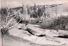 74 MORZINE SAPIN SOUS LA NEIGE