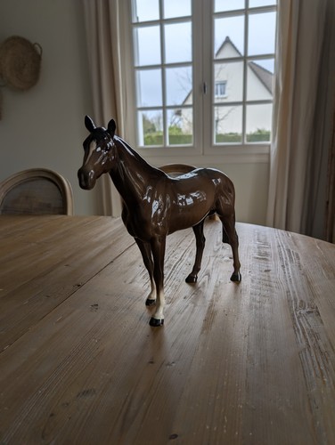 Thoroughbred stallion horse - thoroughbred,