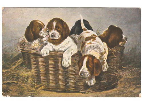 1916 schmitzberger ancienne - j.,