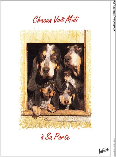 Akvp9 0722 chien chacun - akvp9-0722-chien, voit