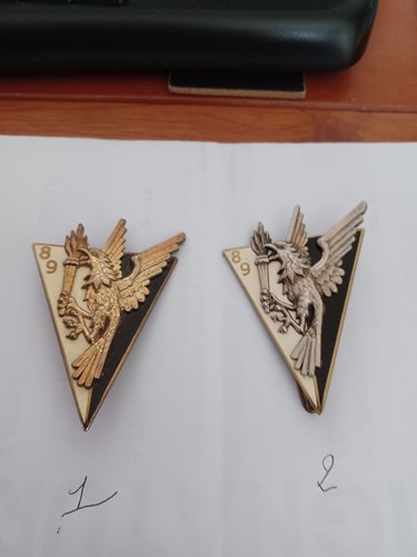 Insignes sdece dgse - bs,