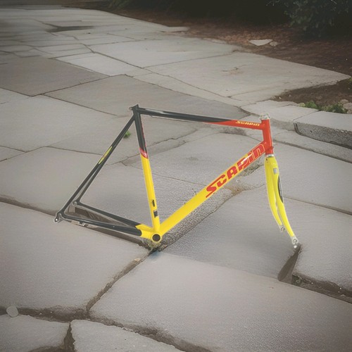 Scapin pro evolution - ks,