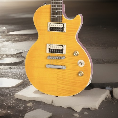 Epiphone slash afd les - les, paul