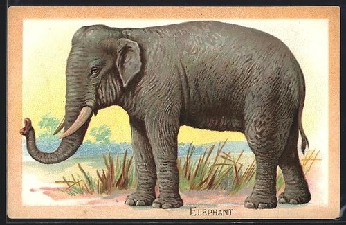 Carte postale gaufrée