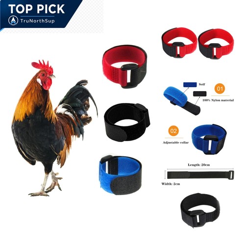 Pack crow rooster - pack,