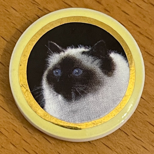 Fève chat galette - des, rois