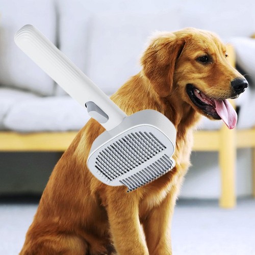 Brosse pour chien chat - brosse, et