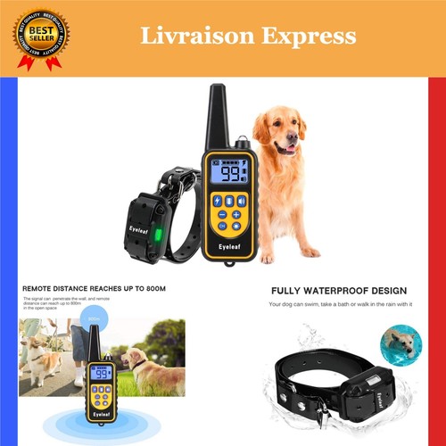 Collier dressage pour - collier, chien