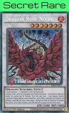 Yu-Gi-Oh! Dragon Rose Noire 