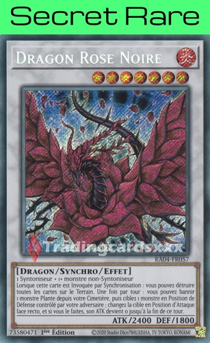 Dragon rose noire - yu-gi-oh!,