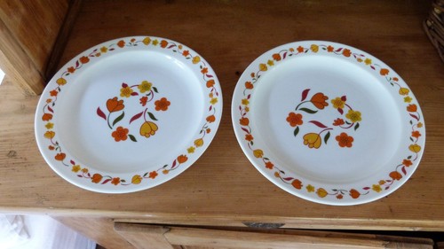 Lot assiettes plates - lot,
