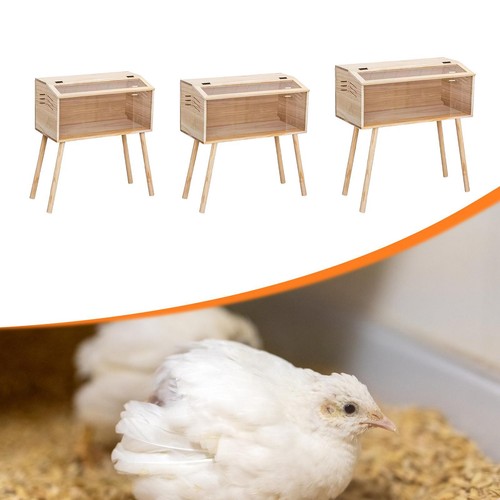 Brooder box bois acrylique - box,