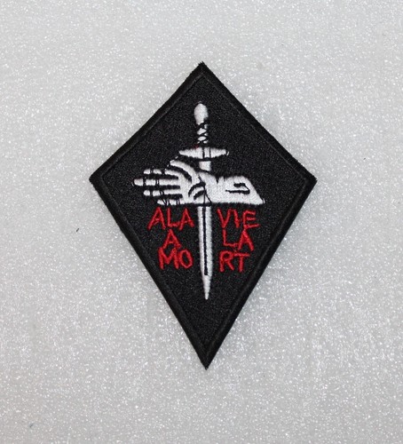 Insigne commando sasb - commando,