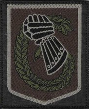 INSIGNE TISSU, PATCH MILITAIRE