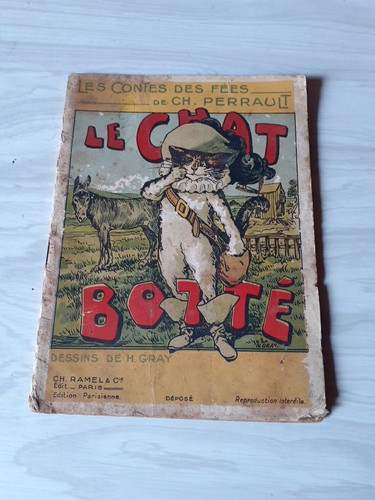 Chat botté charles - chat,