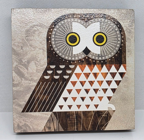 Scott partridge jeva - scott, owl