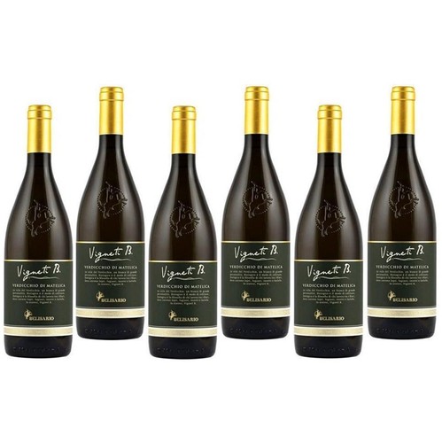 Belisario vineyards 2022 - b.,