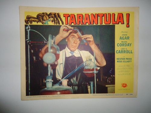 Sci tarantula jack - sci, /jack