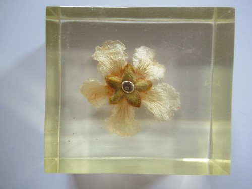 Inclusion resine fleur - inclusion, en