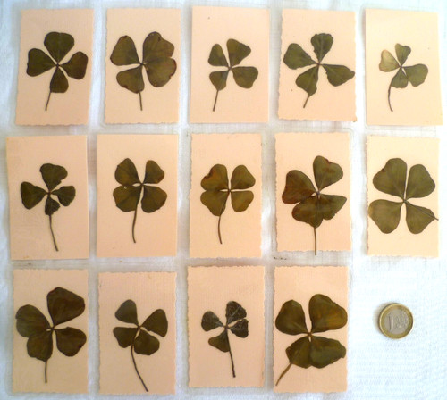 Anciennes cartes - 14,