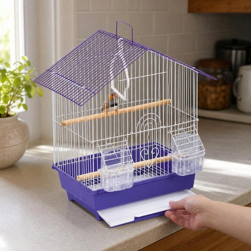 Grande cage oiseaux en - cage,