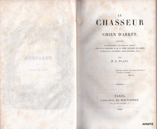 Blaze chasseur chien - blaze, le