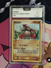 Carte Pokémon Groudon 102/101