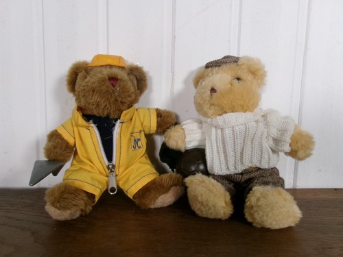 Peluches the teddy - the, bear