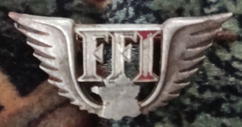Brevet membre ffi forces - brevet,