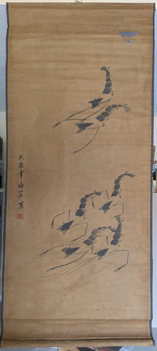 Baishi crevettes - qi,