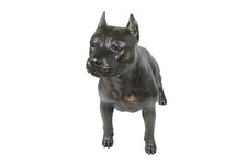 Staffordshire bull terrier - staffordshire,