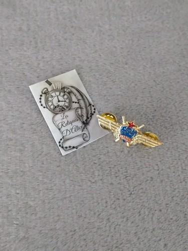 Pin troupe élite pilote - pin's,