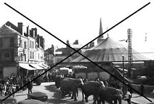 PHOTO DU CIRQUE PINDER