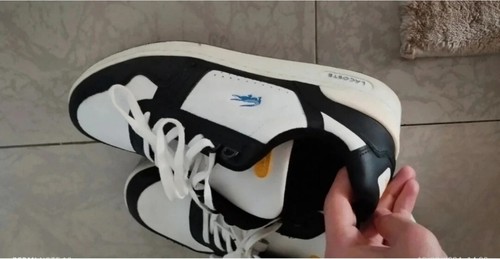 Chaussures lacoste homme - chaussures,