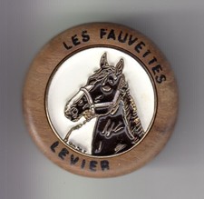 RARE PINS PIN'S ..  SPORT CHEVAL HORSE HIPPISME LES FAUVETTES LEVIER 25 ~DP