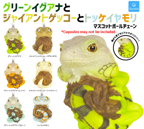 New green iguana - green, gecko