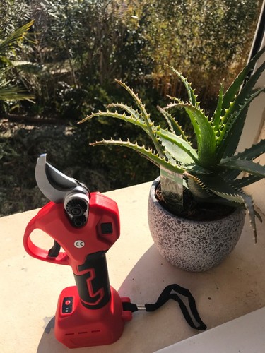 Sécateur jardinage ou - sécateur,