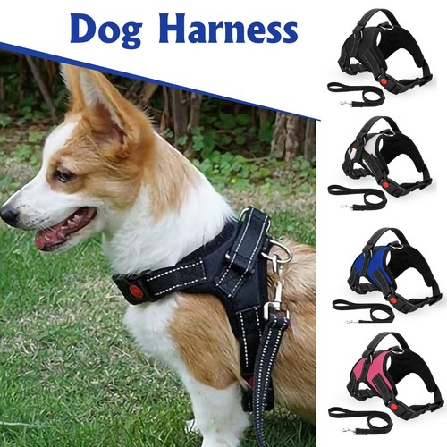 Chien harnais sécurité pour - harnais,