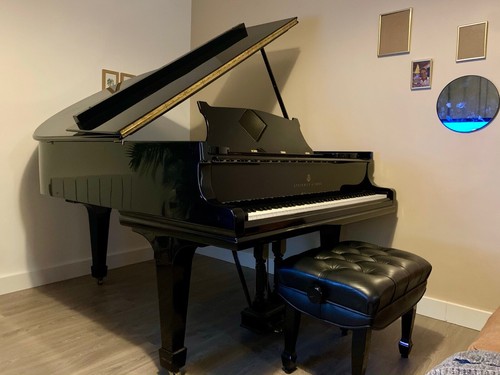 Piano queue steinway - piano, à