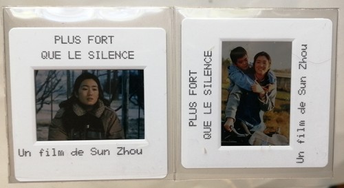 Piao liang gong li - ma, 2x