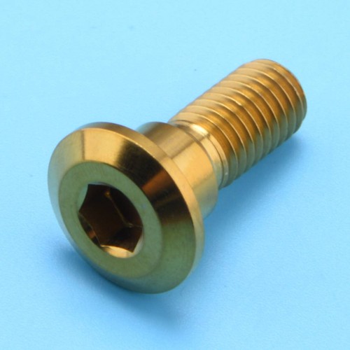Rotor bolts fit for yamaha - 1x,