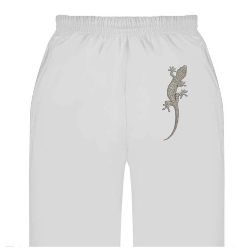 Tokay gecko adult - gecko',