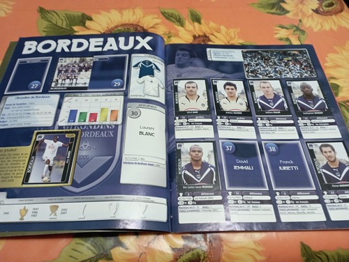 Panini album 2008 avec - panini,