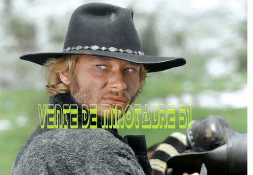 Johnny hallyday cow boy - hallyday, en