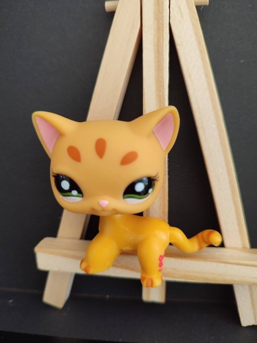 Authentique petshop chat - authentique,