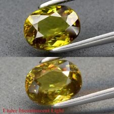 Sphène (titanite) de Madagascar en ovale facetté de 1,75Cts  (Video)