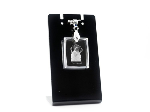épagneul français collier - français,,