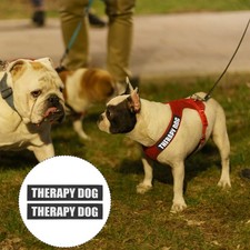  2 Pairs Écussons Pour Plaques D'identité Militaire Patchs Harnais Animaux